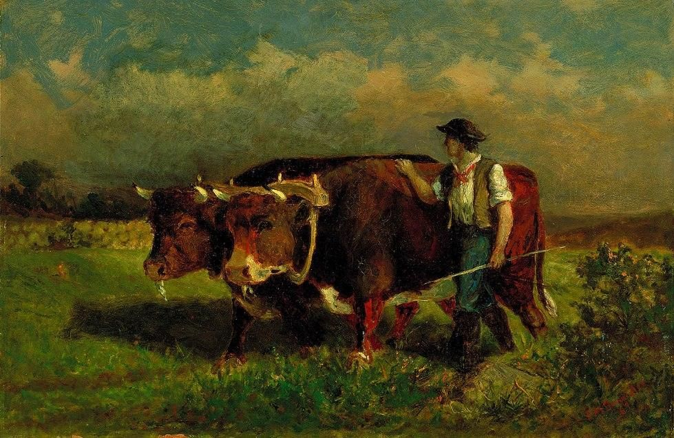 Cattle in the field